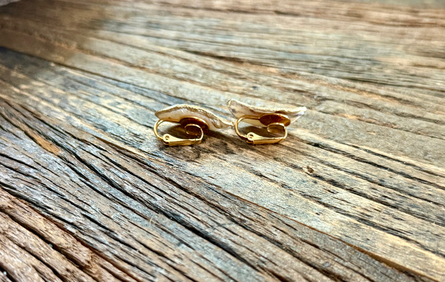 Mini Oyster Studs