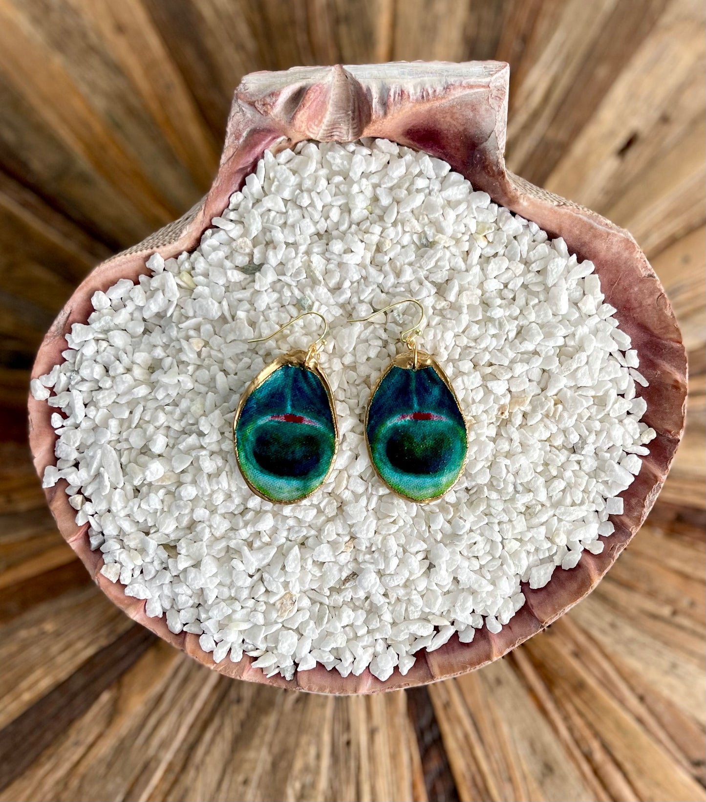 Peacock Passion