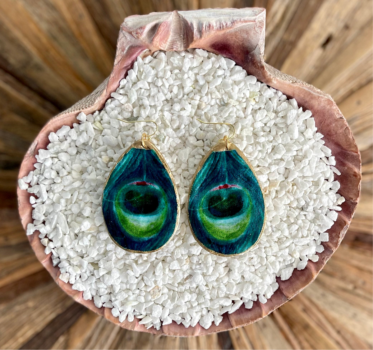 Peacock Inner Shell Peacock Passion – SheShells