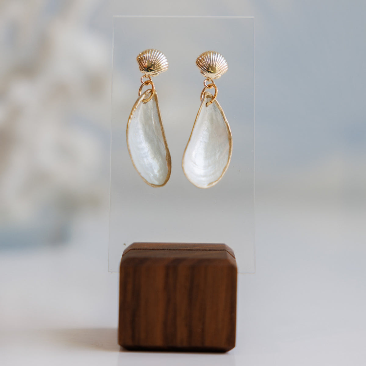 Amelia Island Gold Shell