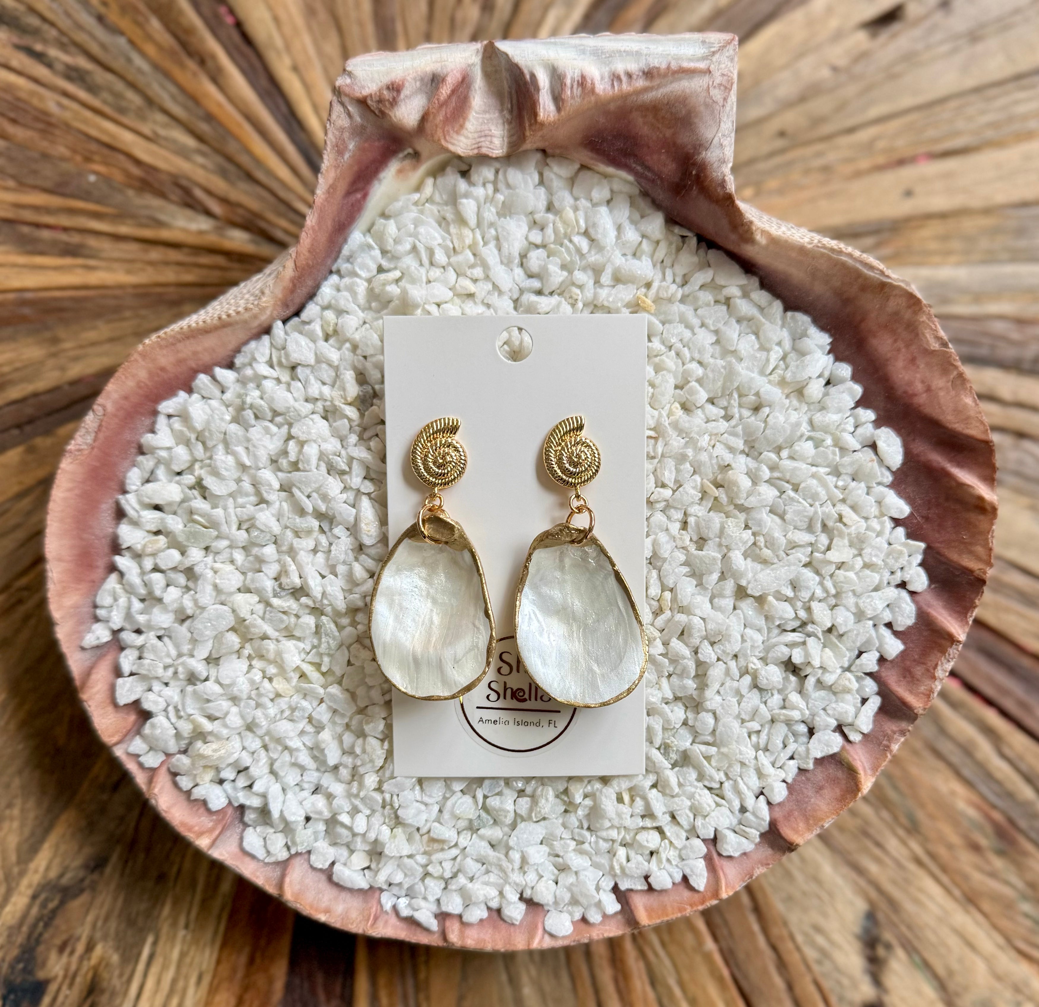 Nautilus – SheShells